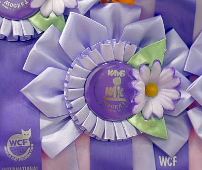 �������� ����� '�������� ���-�����'  10-11 ��� 2014 WCF-����� 169A4785 copy.jpg